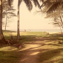 The Melon Collective