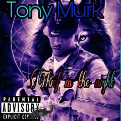 tony murk