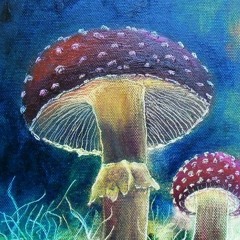 Mister Mushroom