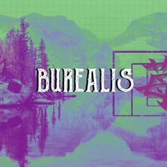 b u r e a l i s
