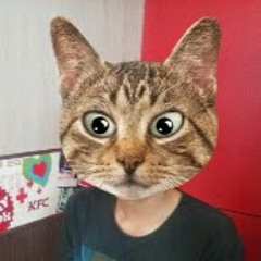 Quang Steve