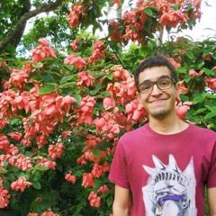 Félix E. Montero R.