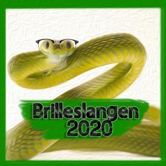 Brilleslangen 2020