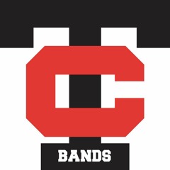 Troy Colt Marching Band