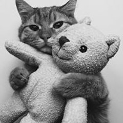 Nguyễn Thị Hiếu Hòa