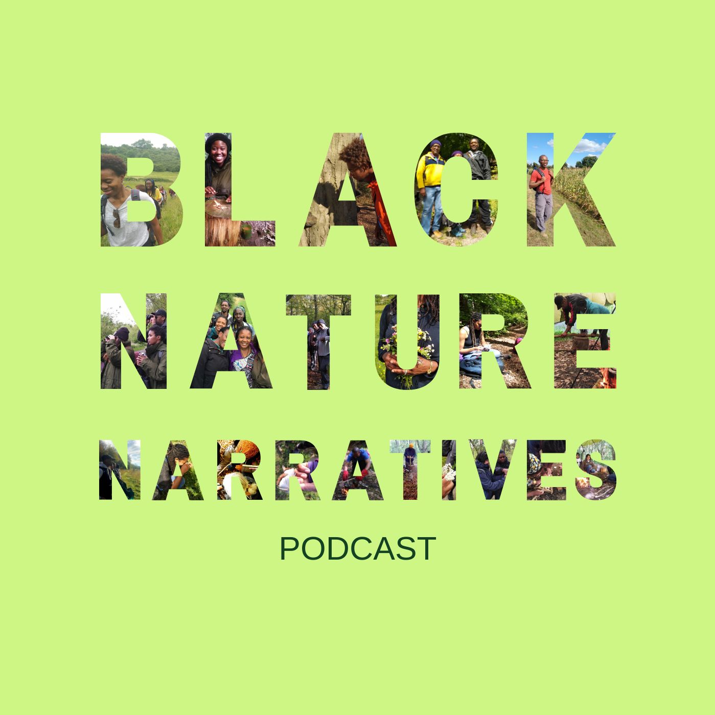 Black Nature Narratives