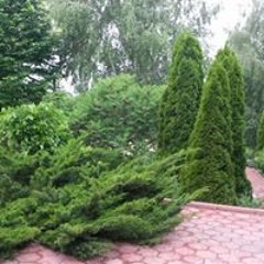Шевченко Влад
