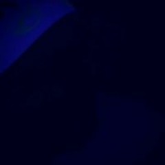 SoloSeason