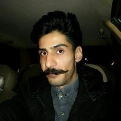 misagh gholipour