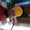 sonu