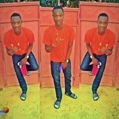 Polo dji
