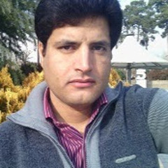 Majid Dadollahi