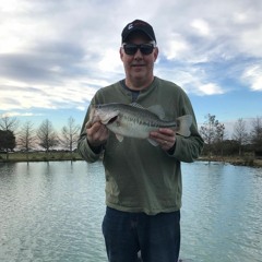 The Moon Griffon Show