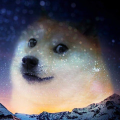 I see no God up Doge.