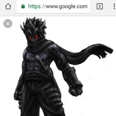 Shadow Ninja