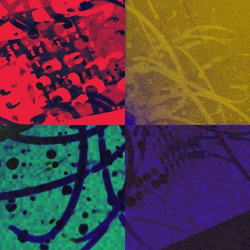 eurodrops