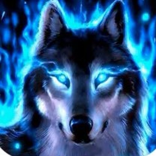 NeonTheWolfGamingYT’s avatar