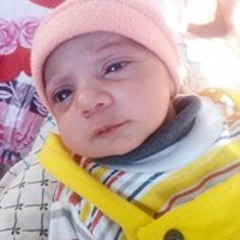 Ali Riasat