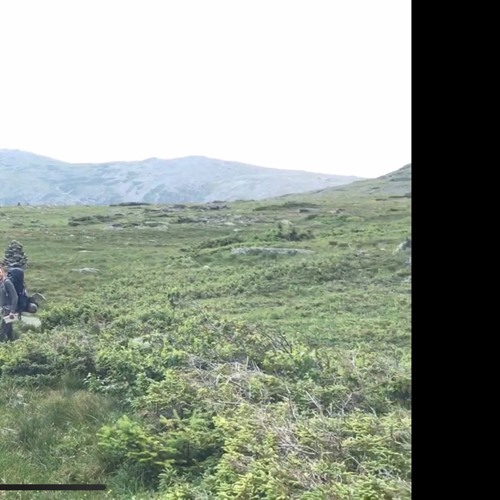 Linkin Park - Lying From You/Wreckage (ZwieR.Z Remix)