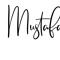 Mustafa Somer
