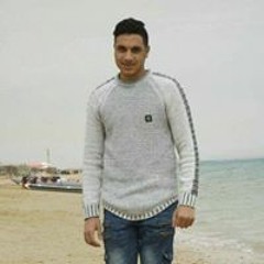 Mohamed A Amer