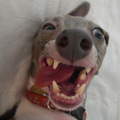 student Madeleine Sanchez