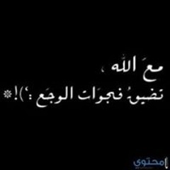 Abdo Mohamed