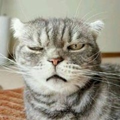 Nightcore-Thói Quen Của Anh