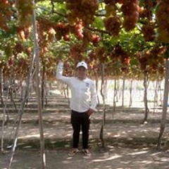 Tây Phước