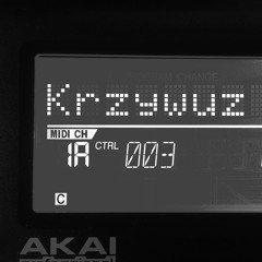 krzywuz01