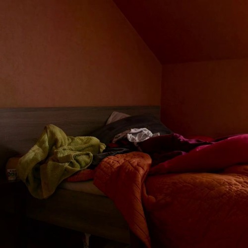 Guizmo - Le Premier Chagrin Du Jour