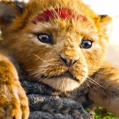 Những lời dối gian - Lý Gia Hân