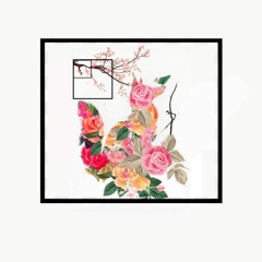 🅵🅾🆇 🅰🅽🅳 🆉🅰🅸🅺🅰  ---- (●'◡'●)ﾉ♥