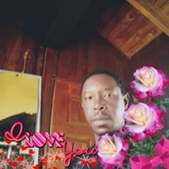 nesilien resil