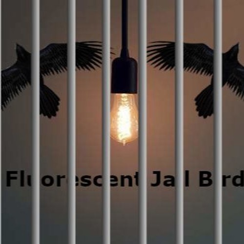 Fluorescent Jail Birds’s avatar