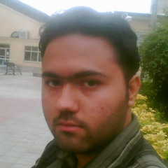 mohammad amin Farhadifar