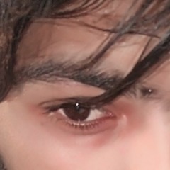 Sanam Jan