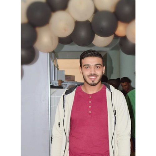 Ahmed Kadry Heg’s avatar