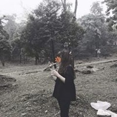 Triệu Vũ