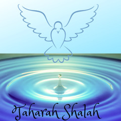 Taharah Shalah Essentials