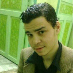 علاء بلتاجي