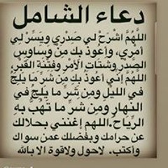 علي الدلفي - شخص ثاني ( حصريا ) 2019(MP3_160K).mp3