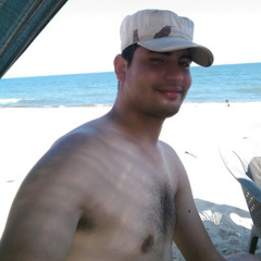 مهندس يوسف سليم