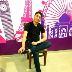 Yousef M Naser