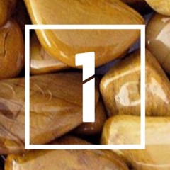 Division 1 Psy-Trance