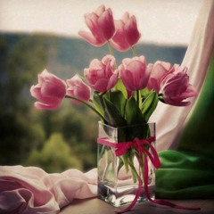 Tahani Abo Al Reesh
