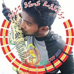visham mohamed