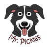 Mr. Pickle & the L.T.D. - Wreckordings -  Music