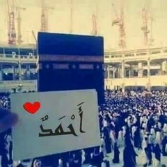 ahmed abo ragb