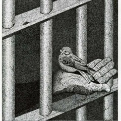 The Lockdown Podcast